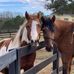 Amy L Sperrazza - Facebook