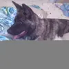 amy spring - @amy.spring95 - TikTok