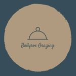 Amy & Stacey - @ballyroegrazing - Instagram