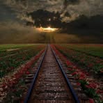 Amy Stamour - Facebook