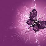 Amy StAmour - Facebook