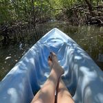 Amy Tepper Steinberg - @amylsteinberg - Instagram