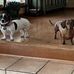 Amy Stenle - Facebook