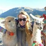 Amy Stinchcombe - @amy.stinchcombe - Instagram