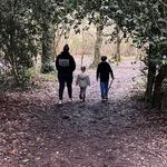 Amy Strachan - @strachan6237 - Instagram