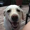 Amy Allyson Stroh - @30200603033 - TikTok