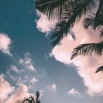 Amy Stromberg - @gacha__glich20 - Instagram