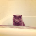 Amy Stromberg - @amystromboli - Instagram