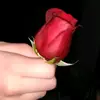 sarastull1 - @amystull2 - TikTok