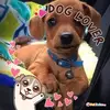 amysusangephart - @amysusangephart - TikTok