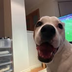 Amy Sutton - Facebook