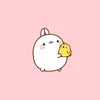amy.sutton11 - @amy.sutton11 - TikTok