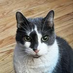 Amy Svec - @amybsvec - Instagram