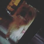 jule rosenbaum - @_amy_sweet - Instagram