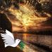 Amy Swope - Facebook