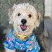 Amy Swope - Facebook