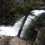 amy swope - @swopeamy1234 - Instagram
