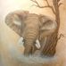 Amy Tafoya Cagle - Facebook