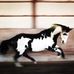 Amy J. Tallant - Facebook