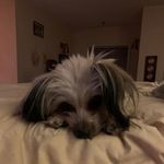 Amy Tarver - @msmac2023 - Instagram