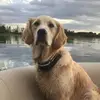amyteigen9359 - @amyteigen9359 - TikTok