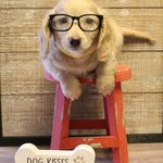 Amy Terry - @wpfarmdoxie - Instagram