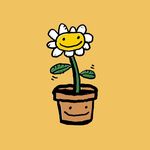 Amy Terry & Karen Klicker - @happyplantsandpots - Instagram