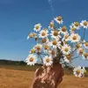 Amy_thacker12 - @amy_thacker - TikTok