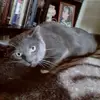 Amy Thacker - @amy.thacker7 - TikTok