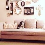 Amy Thayer - @amazingamy417 - Instagram