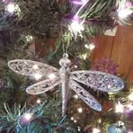 Amy Thibeault - Facebook