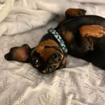 AmyThibeault - @itstuukkatime628 - Instagram