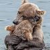 Amy Thorne - Facebook