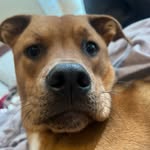 Amy Tidwell - @amytidwell9820 - Instagram