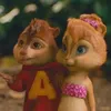 user362103015089 - @amytill3 - TikTok