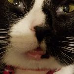 Amy Marie Topel - @topesmahgoat - Instagram