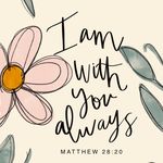 Amy Trahan - @joyfulperspective - Instagram