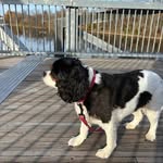 Amy Trahan - @amykev2 - Instagram