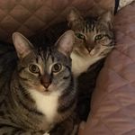 Amy R Trainor - @art131 - Instagram