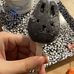 Amy Trainer - Facebook