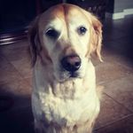 Amy Treadway - @3treads - Instagram