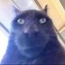 Amy Trejo - Facebook