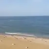 Amy True - @amy.true - TikTok