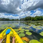 Amy Trujillo - @teach.travel.disney.repeat - Instagram