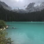 Amy Tung - @aytung25 - Instagram
