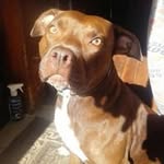 Amy Turk - @turkalishiousturk - Instagram