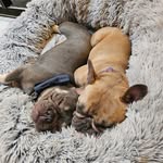 Amy Turk - @always.alldays.amy - Instagram