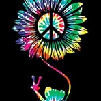 Amy Turk - Facebook