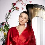 Amy Turk - @amyturkharp - Instagram