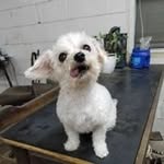 Amy Turkelson - @turkelsonamy - Instagram